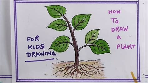 plant drawing|plant drawing easy for kids.